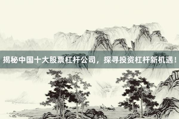 揭秘中国十大股票杠杆公司，探寻投资杠杆新机遇！